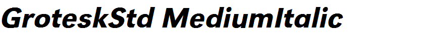 GroteskStd MediumItalic