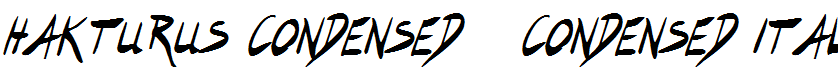 Hakturus Condensed   Condensed Italic