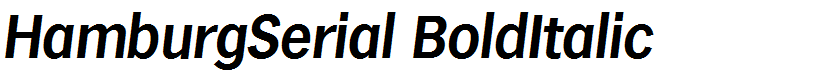 HamburgSerial BoldItalic