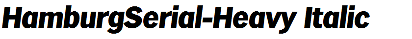 HamburgSerial-Heavy Italic