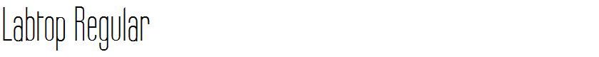 Labtop Regular