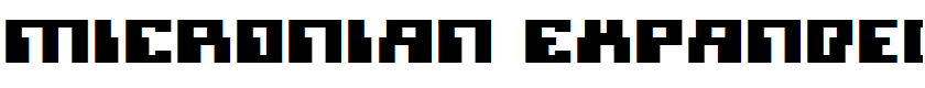 Micronian Expanded Expanded