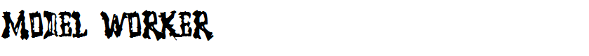 Model Worker