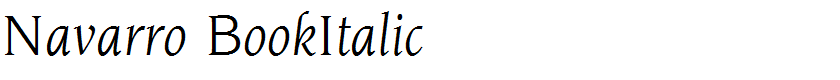 Navarro BookItalic