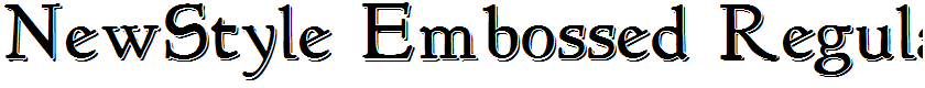 NewStyle Embossed Regular