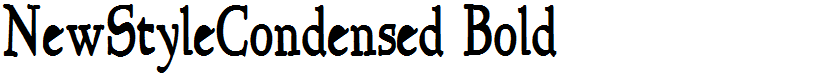 NewStyleCondensed Bold