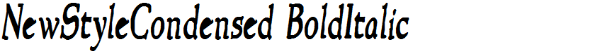NewStyleCondensed BoldItalic