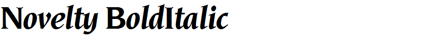 Novelty BoldItalic