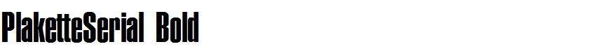 PlaketteSerial Bold