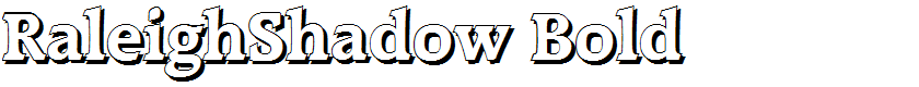 RaleighShadow Bold