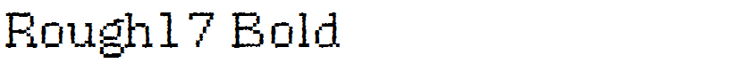 Rough17 Bold