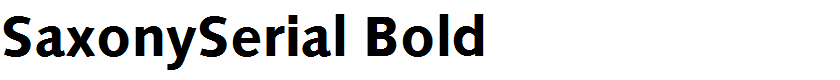 SaxonySerial Bold