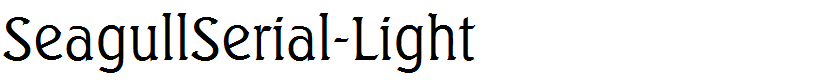 SeagullSerial-Light