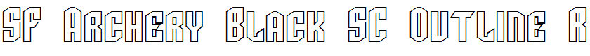 SF Archery Black SC Outline Regular