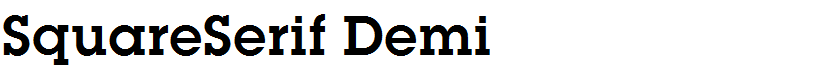SquareSerif Demi