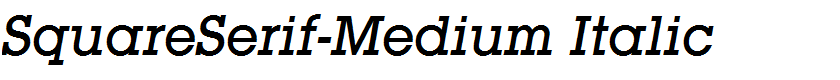 SquareSerif-Medium Italic