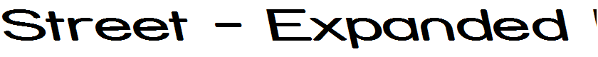 Street - Expanded Reverse Italic