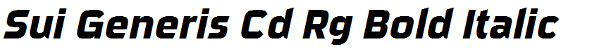 Sui Generis Cd Rg Bold Italic