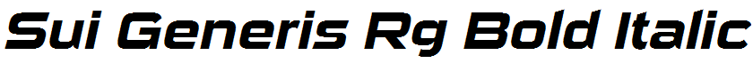Sui Generis Rg Bold Italic