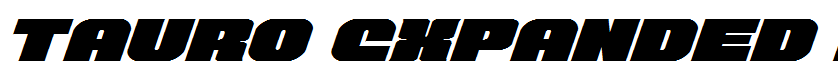 Tauro Expanded Italic Expanded Italic