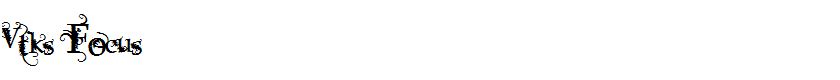 Vtks Focus