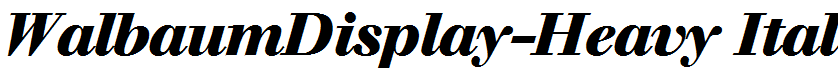 WalbaumDisplay-Heavy Italic