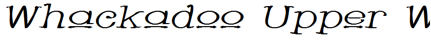 Whackadoo Upper Wide Italic