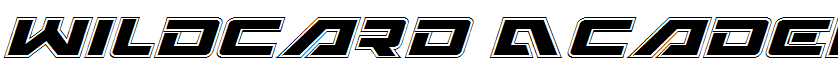 Wildcard Academy Italic Italic