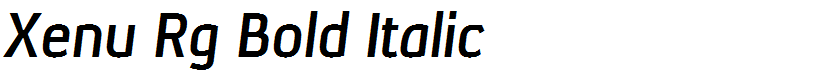 Xenu Rg Bold Italic