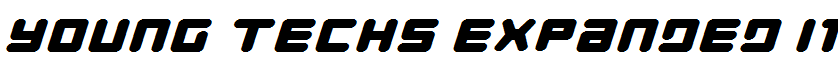 Young Techs Expanded Italic talic